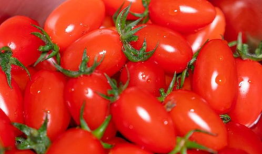 番茄小视频,轻松解锁生活小技巧